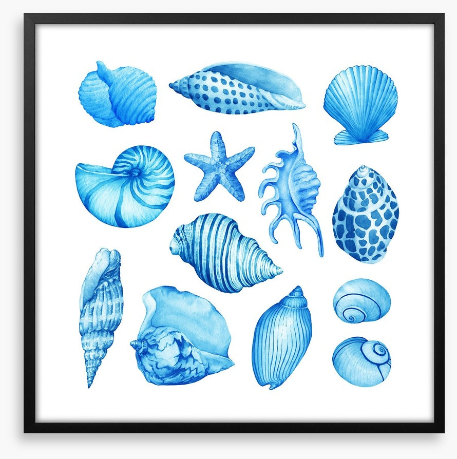 Coastal collection