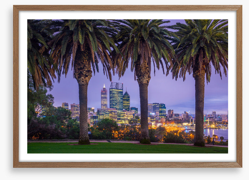Perth through the palms