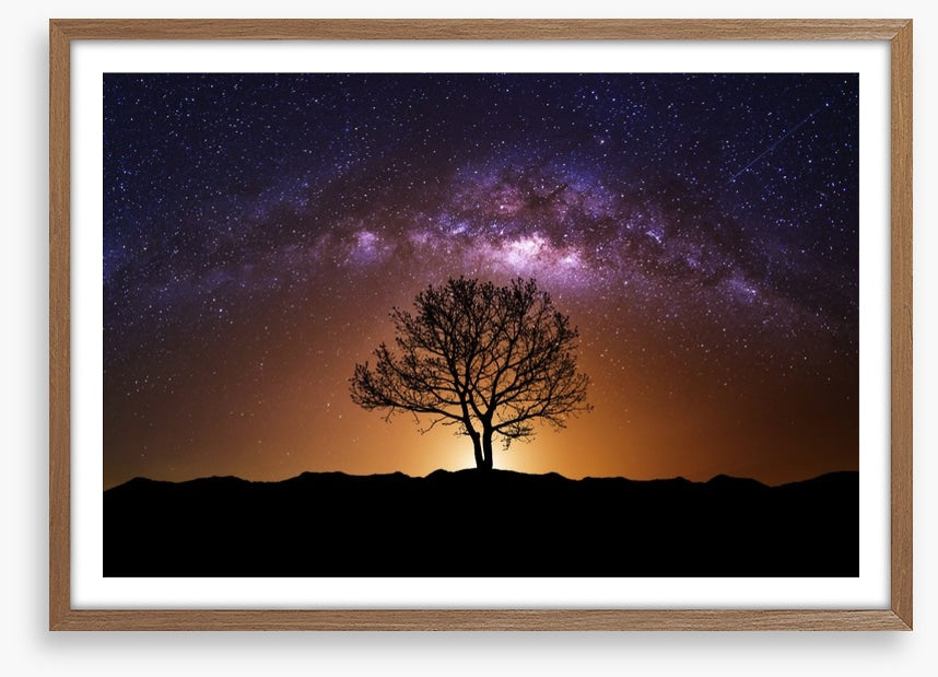 The cosmic tree