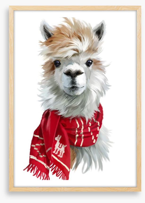 Chilly alpaca