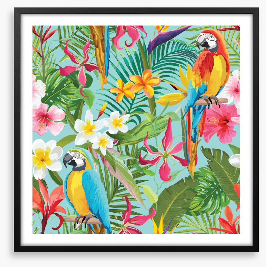 Paradise parrots
