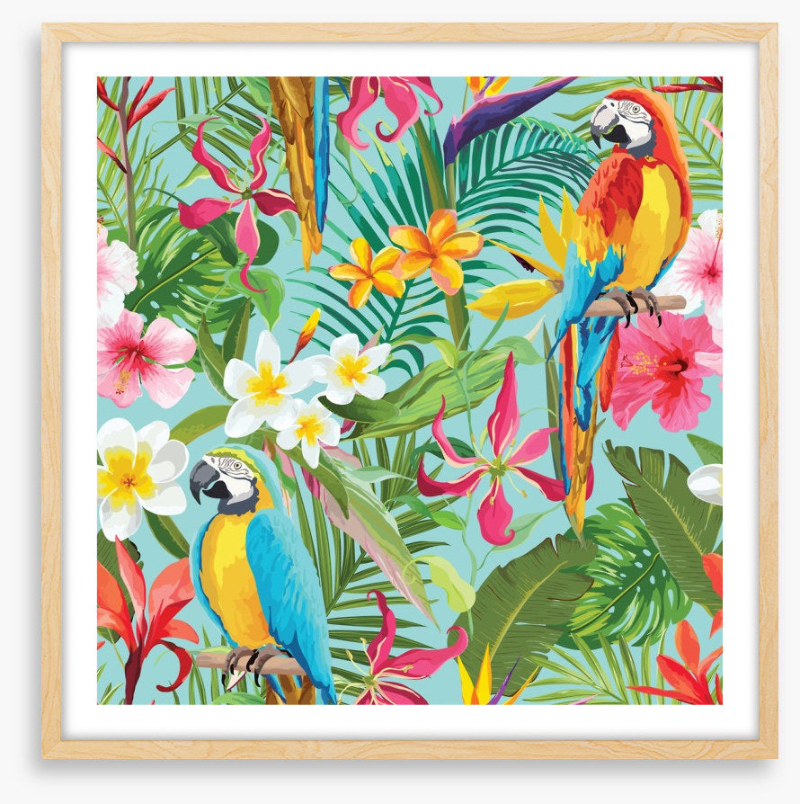 Paradise parrots