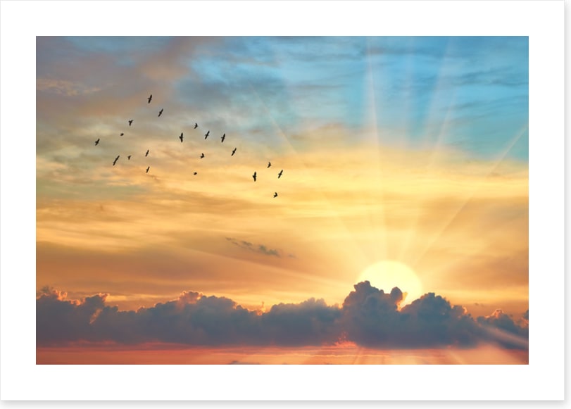Through the sunbeams