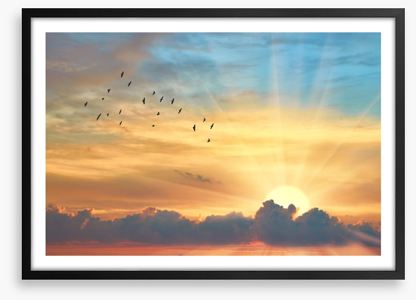 Through the sunbeams