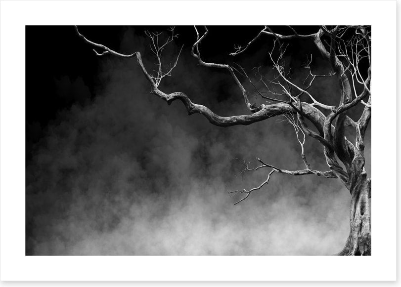 Reaching through time