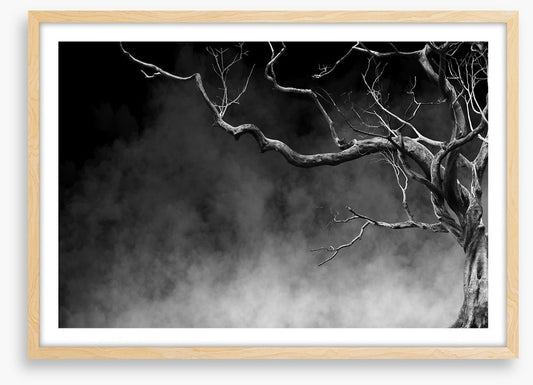 Reaching through time