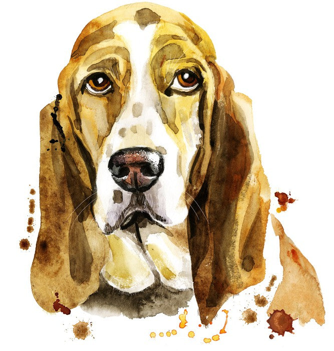 Basset hound blues