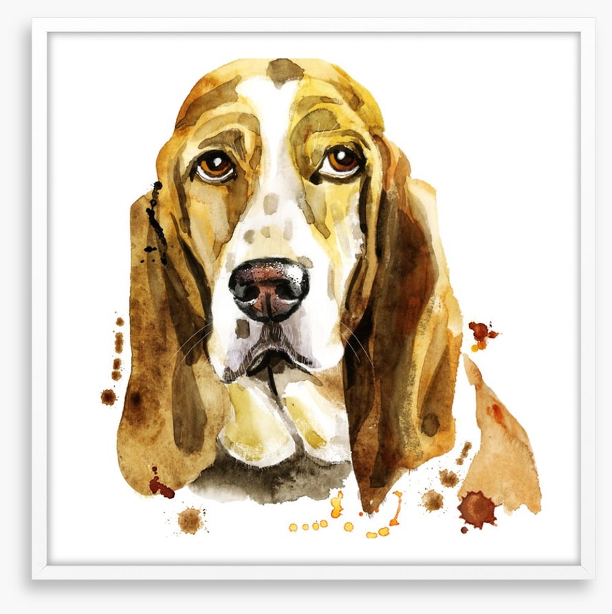 Basset hound blues