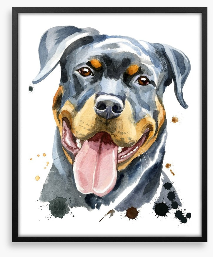 Rottweiler splash