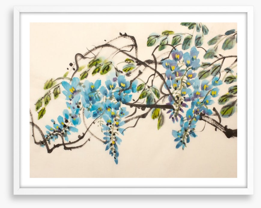 Blue wisteria