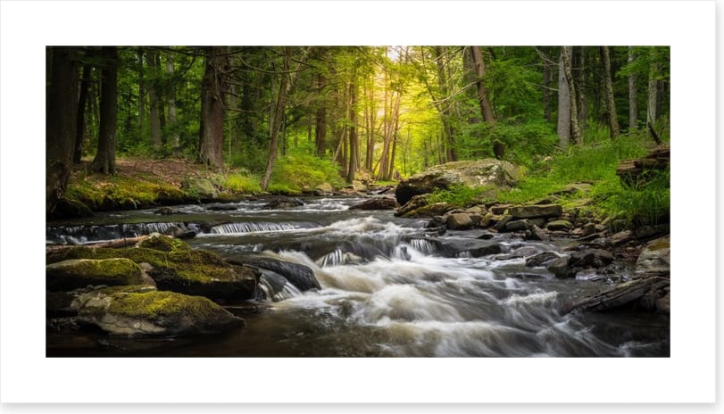 Dingman's Creek cascades