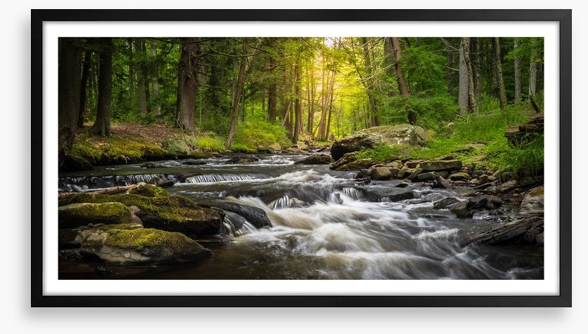 Dingman's Creek cascades