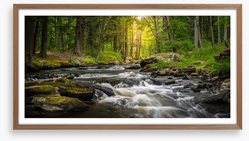 Dingman's Creek cascades