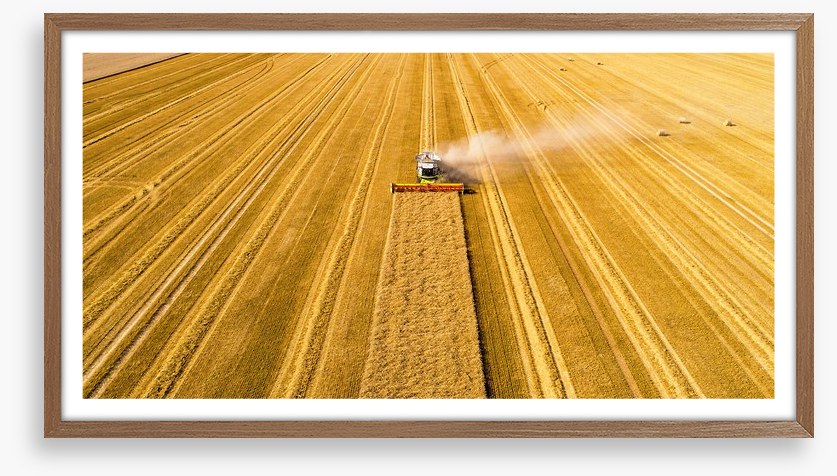 Agriculture