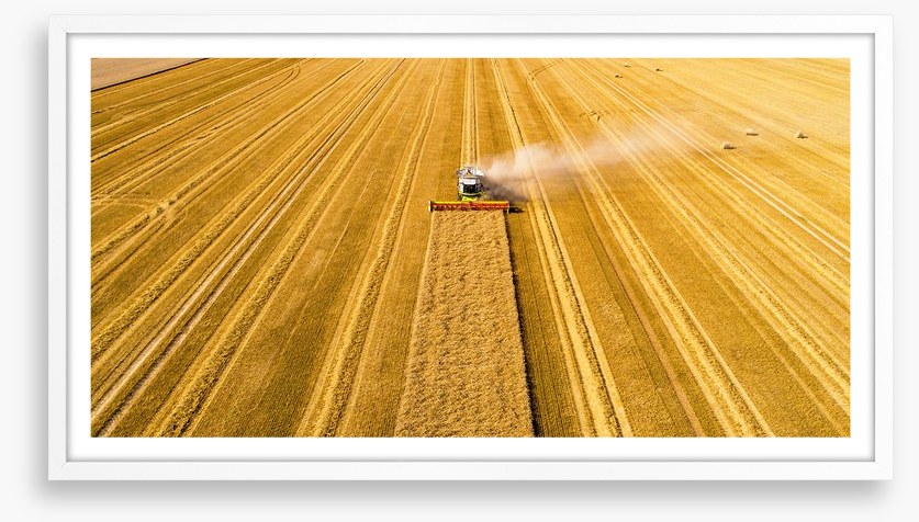 Agriculture