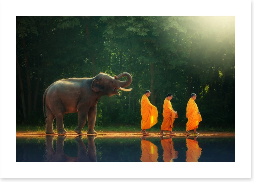 Follow the leader