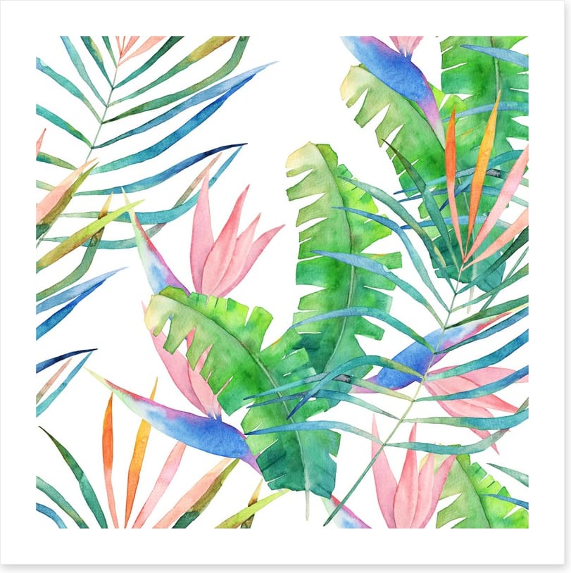 Jungle leaf spring