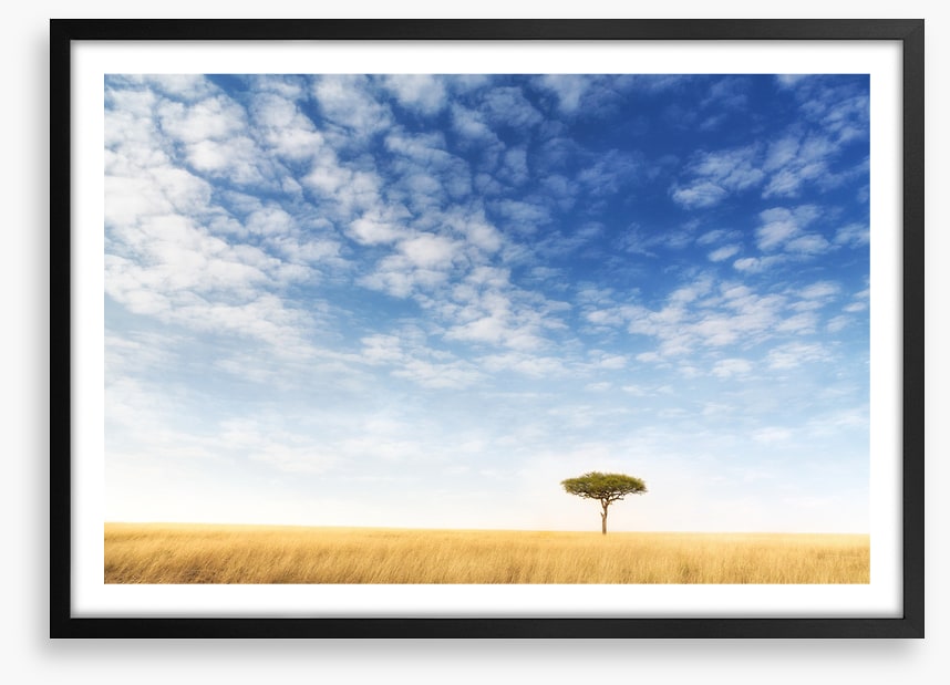 Africa