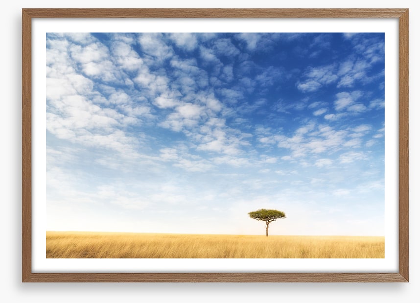 Africa