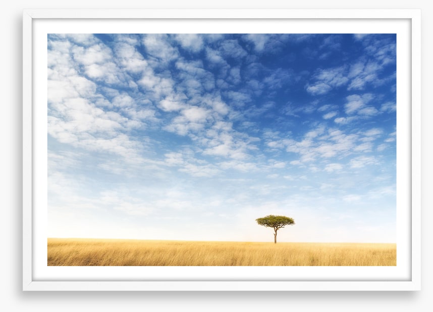 Africa