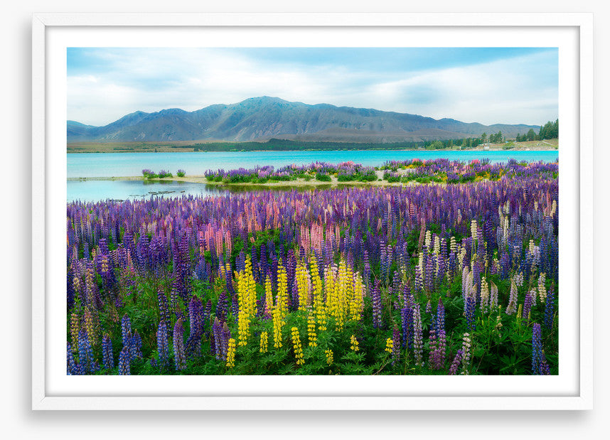 New Zealand