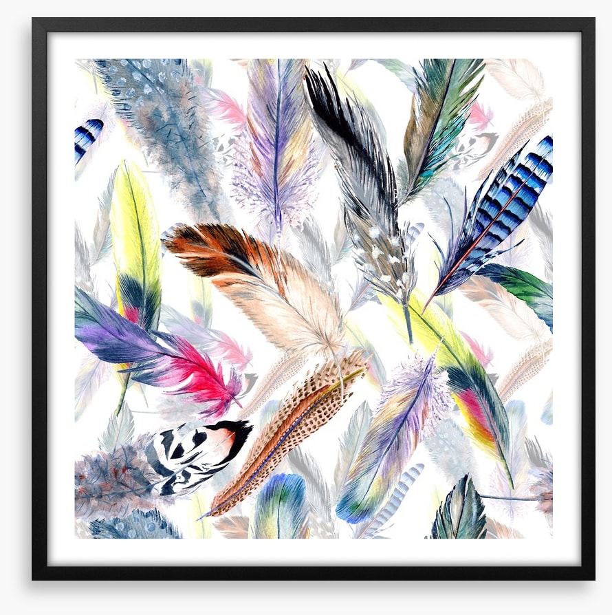 Falling feathers