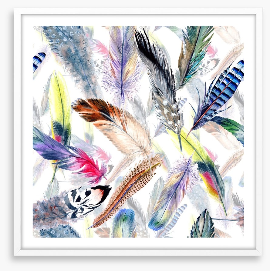 Falling feathers
