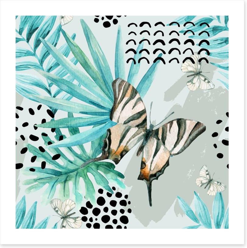 Butterflies