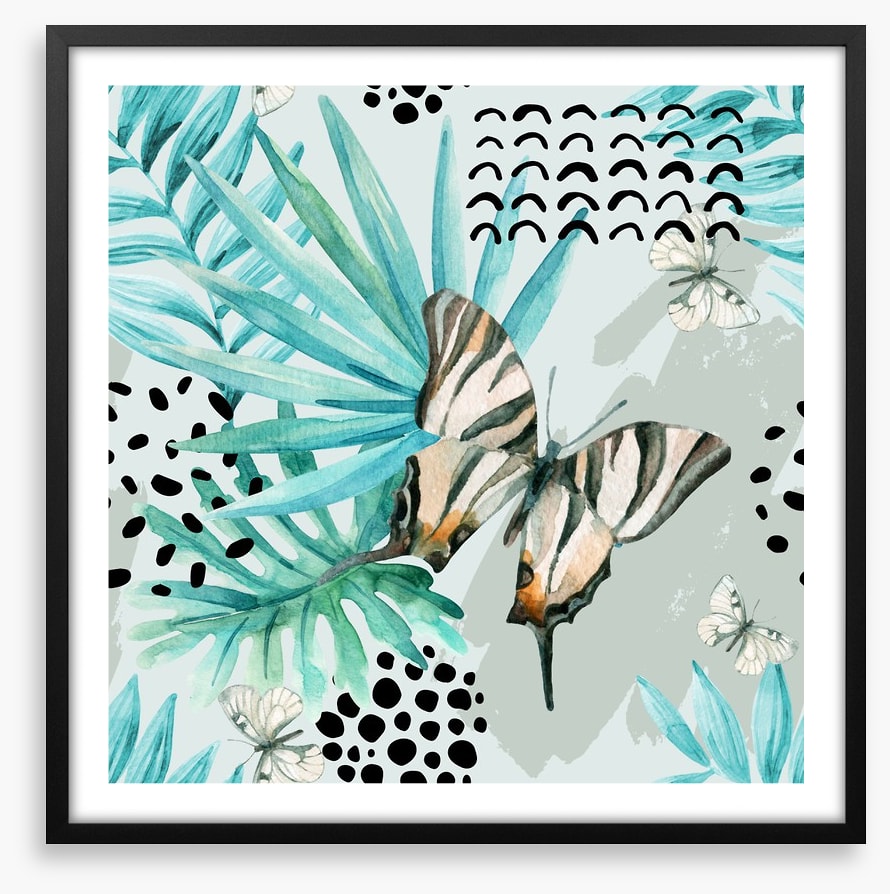 Butterflies