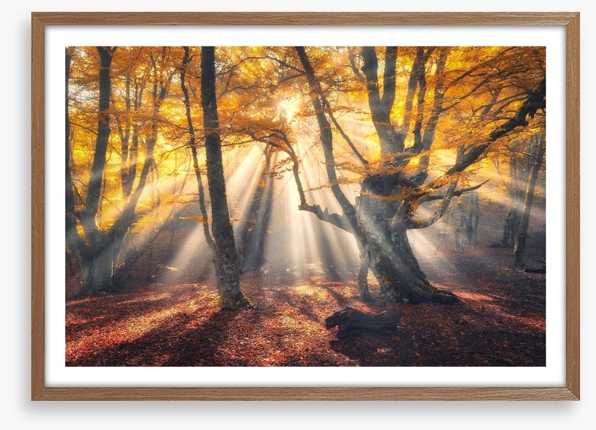 Aethereal autumn sun