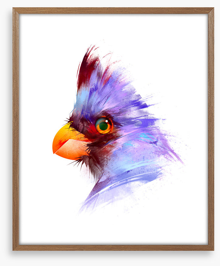 Birds