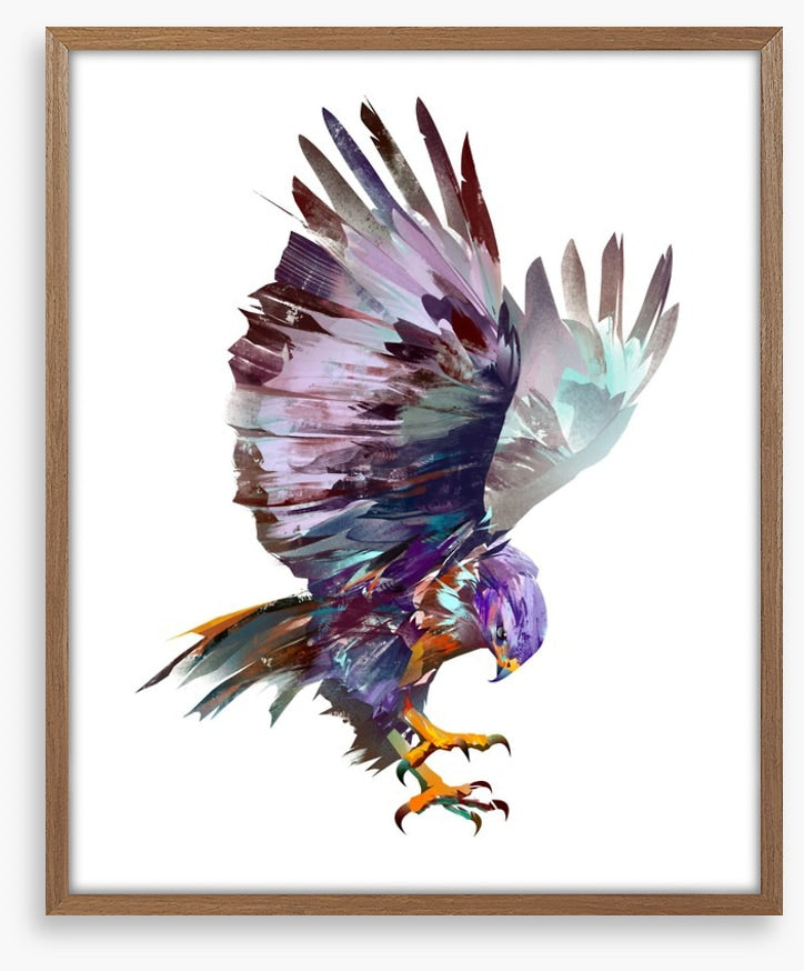 Hawk on the hunt