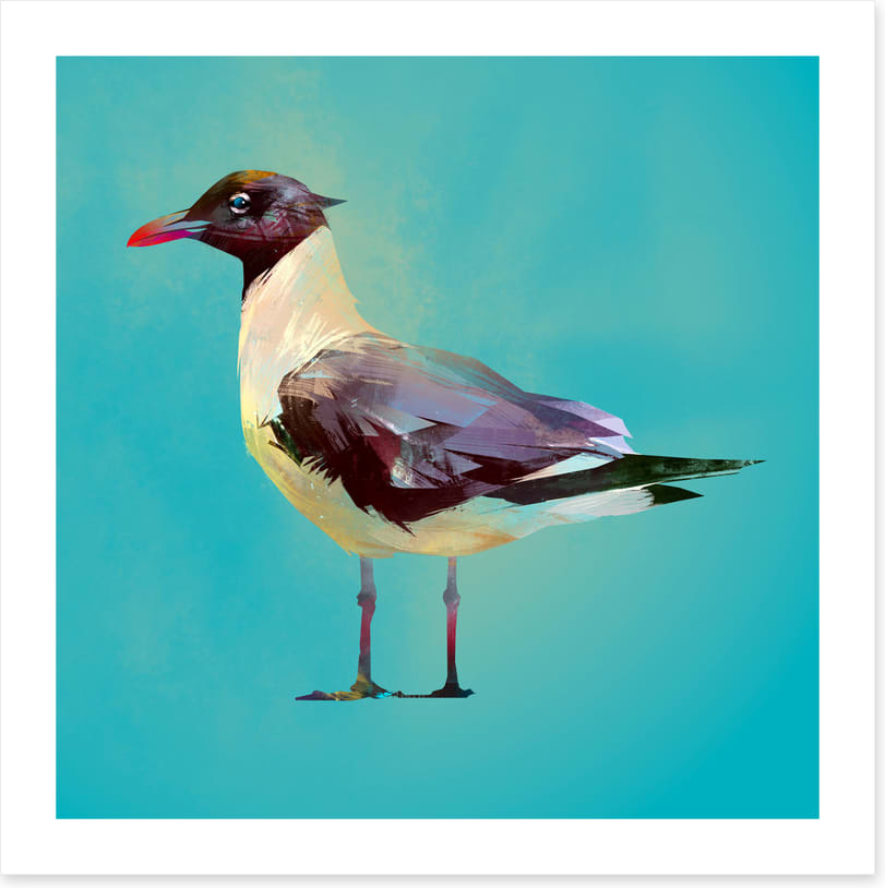 Seagull standoff