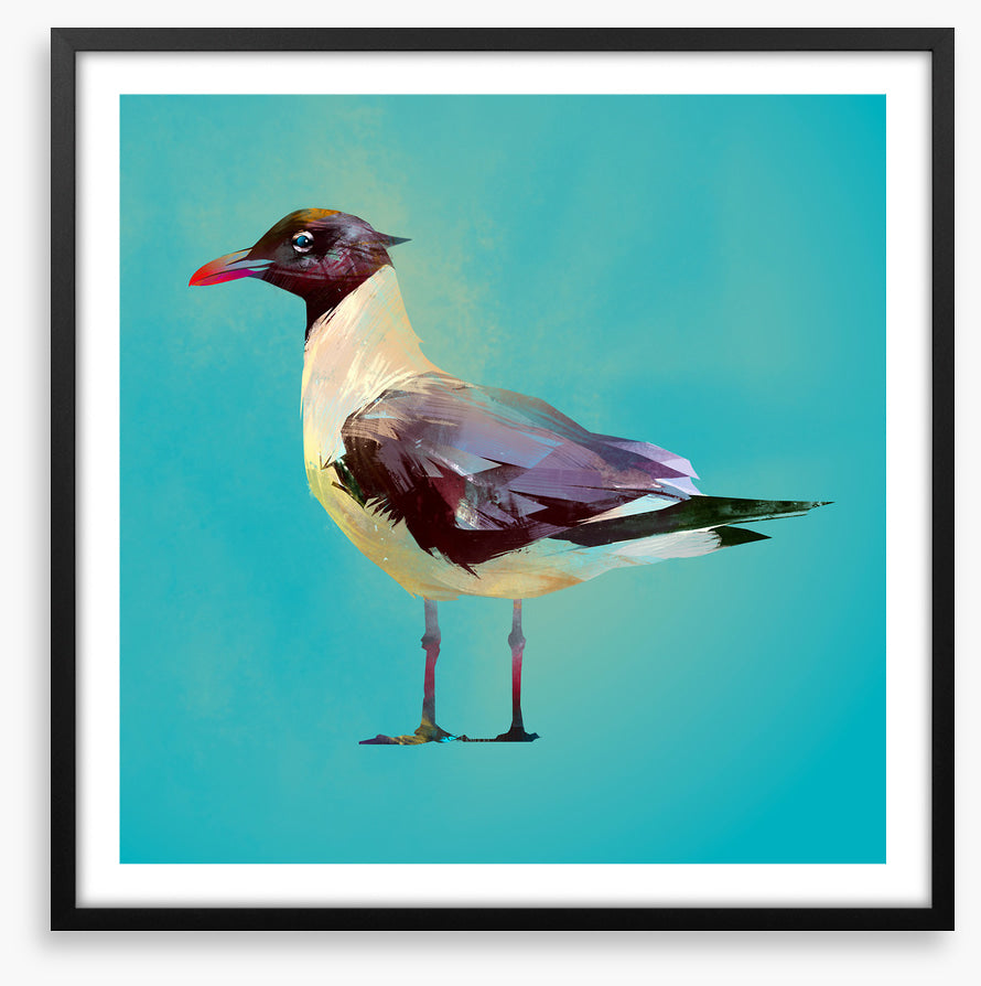Seagull standoff