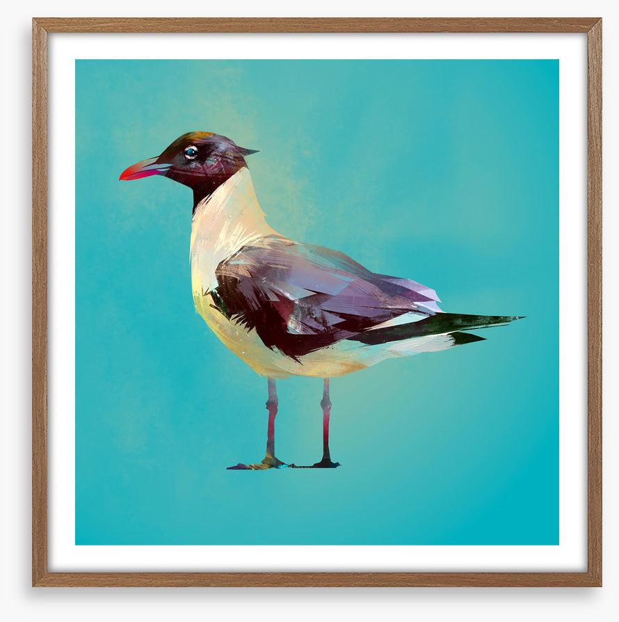 Seagull standoff