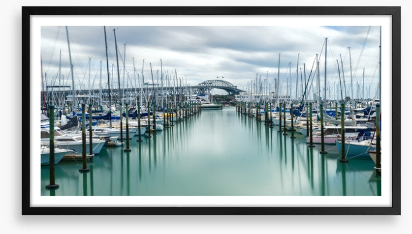 Auckland marina masts