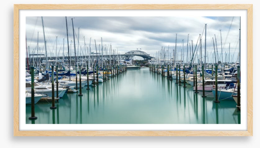 Auckland marina masts