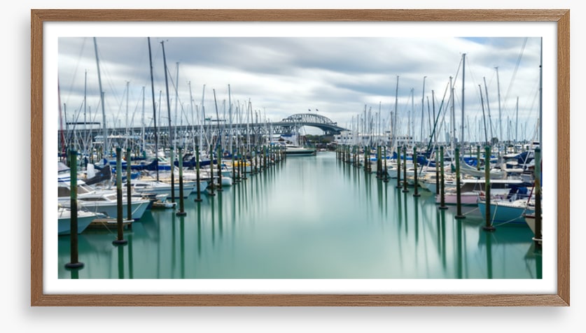 Auckland marina masts