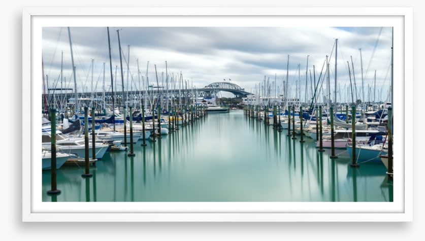 Auckland marina masts