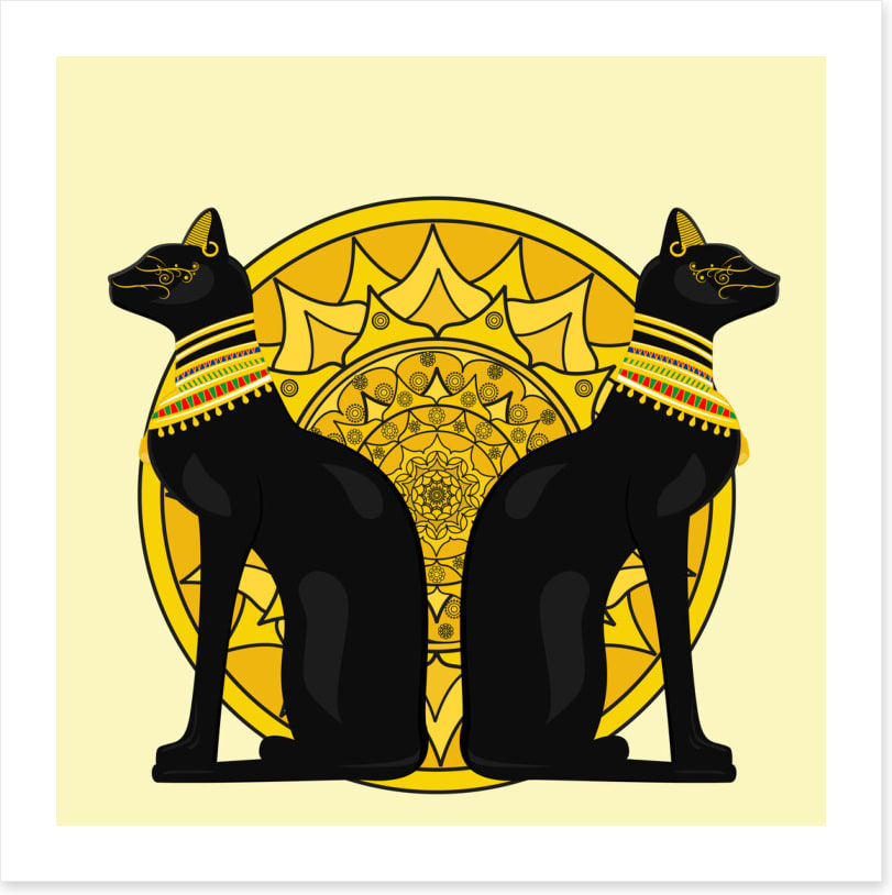 Cats of Cairo