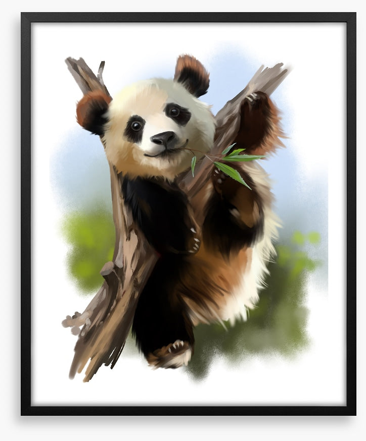 Little giant panda