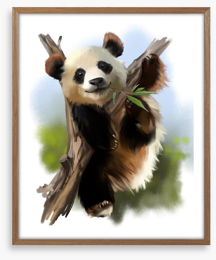 Little giant panda