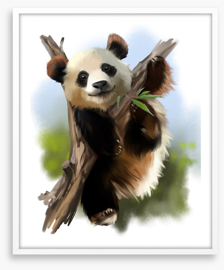 Little giant panda