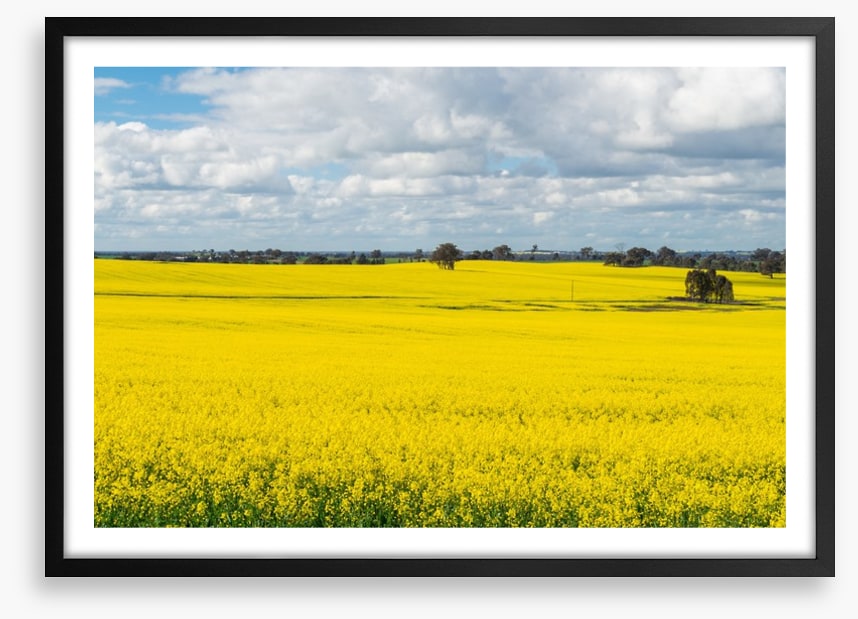 Agriculture