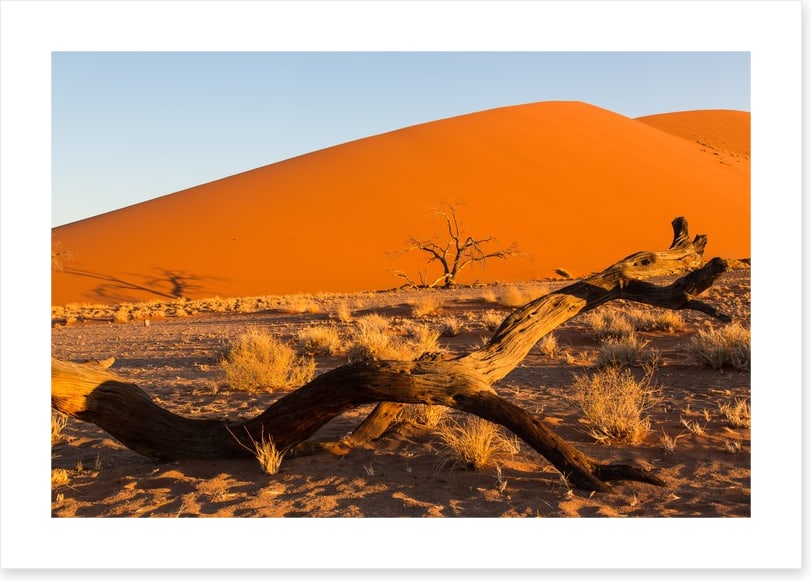 Desert