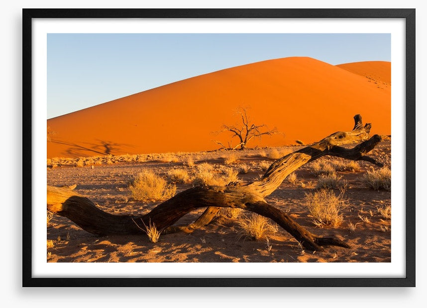 Desert