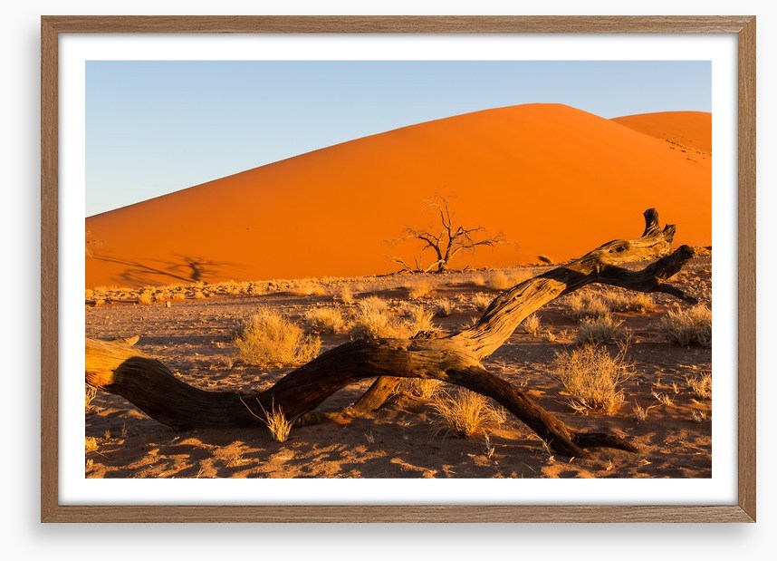 Desert