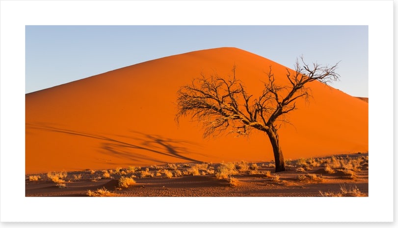 Desert