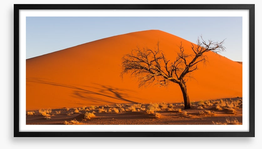 Desert