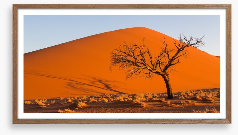 Desert